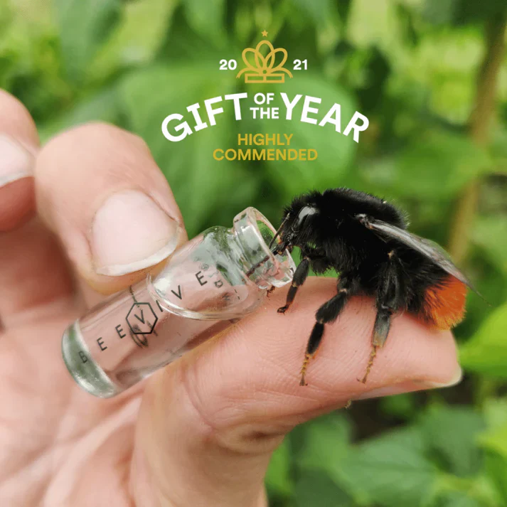 Bee Revival Keyring - Image 3